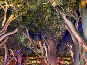 オーストラリアパビリオン