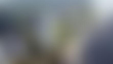 투자 증가 캄보디아