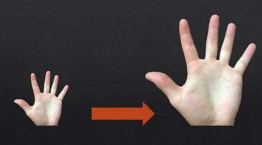 linear scaling photo.PNG