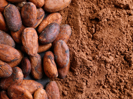 Une évadée gourmande : de la cabosse au chocolat
