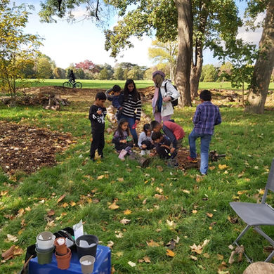 October Half Term at Forest Garden