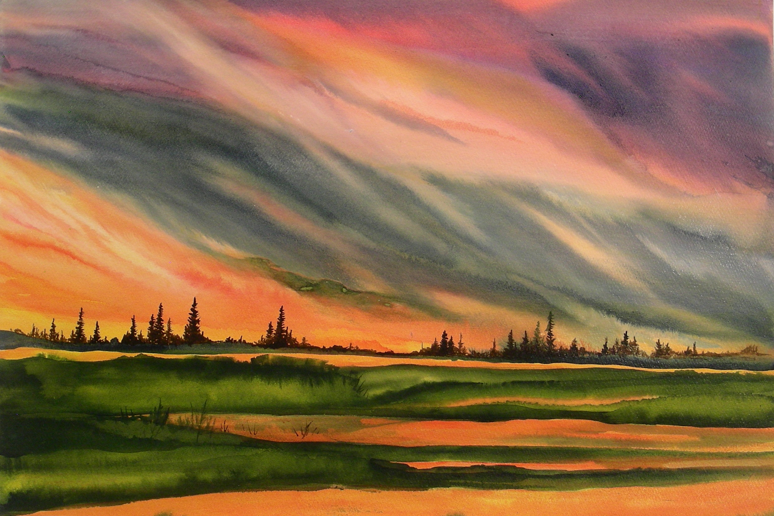 Evening Sun