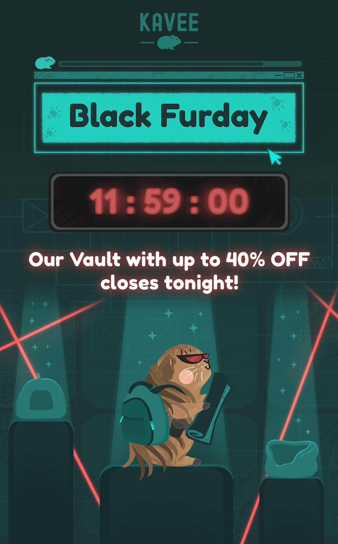 Black-Friday---Last-Chance-Ends-Tonight---email-header.gif
