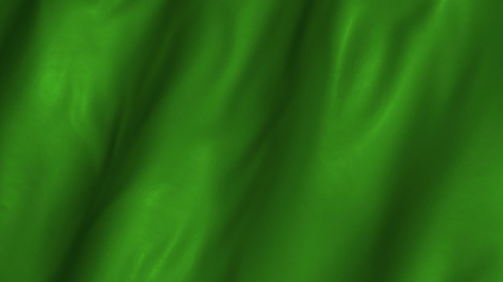 green-waving-flag-footage-012262015_prev