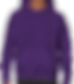Hoodie_07.png