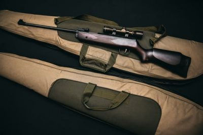 Second Amendment: House Committee on Criminal Jurisprudence