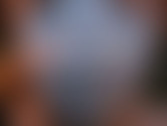 Voting During a Declared Disaster: House Committee on Elections