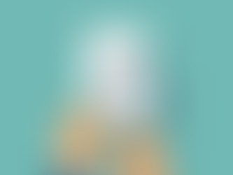 Local Option Sales and Use Tax: House Committee on Ways & Means