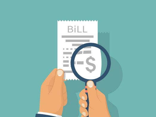 Local Option Sales and Use Tax: House Committee on Ways & Means