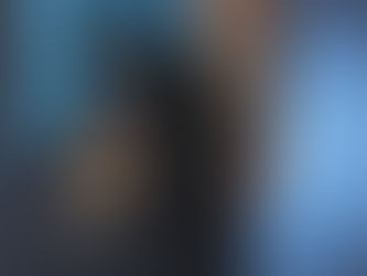 Second Amendment: Senate Committee on State Affairs