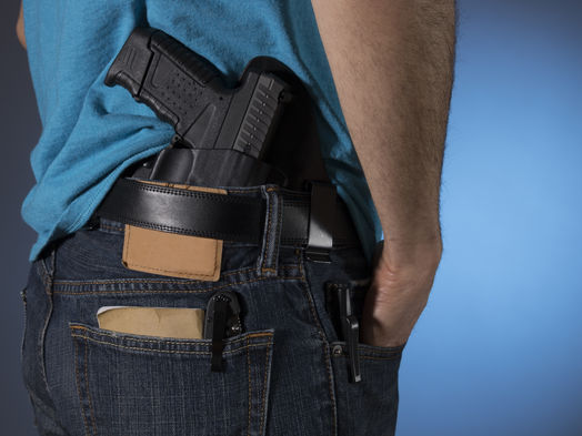 Second Amendment: Senate Committee on State Affairs