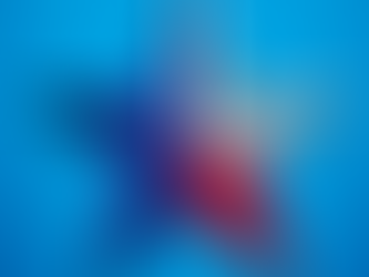 Government Reform Task Force: 2020-2021 Final Report