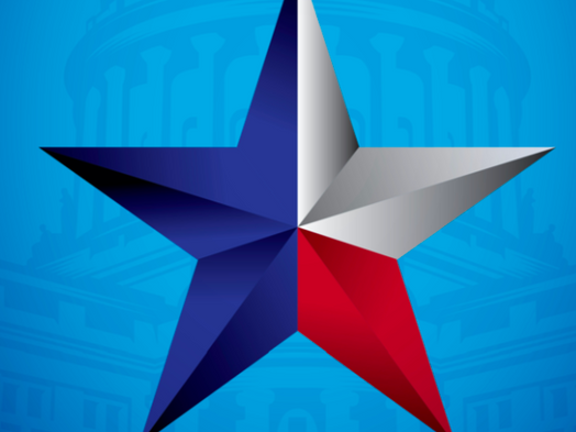 Government Reform Task Force: 2020-2021 Final Report