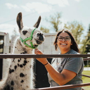 Young woman smiling posing with a black and white spotted llama