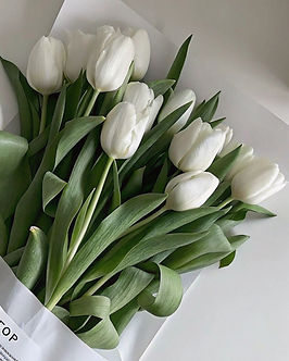 JOVANE 品牌故事形象圖,溫柔自信的女性氣質