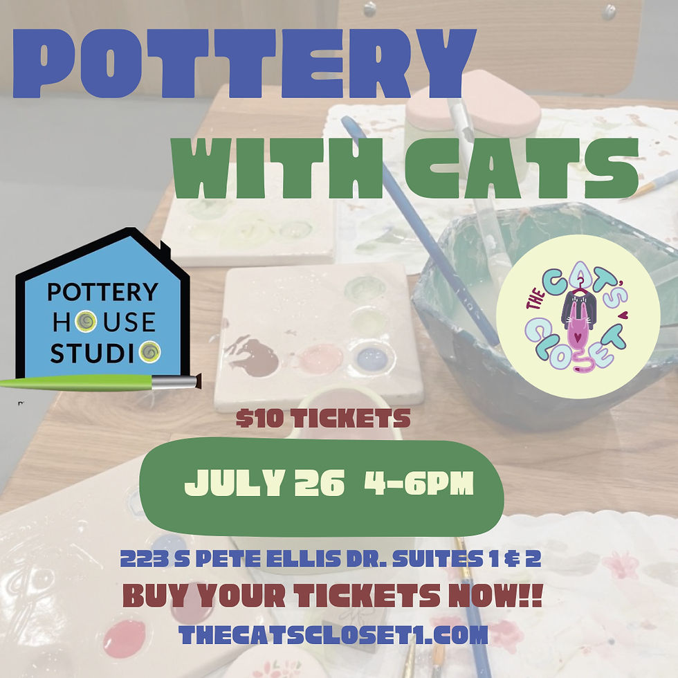 Cat Pottery Night *CERAMIC PIECE NOT INCLUDED IN $10 ADMISSION*