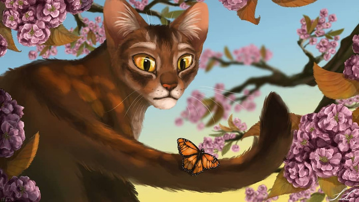 Abyssian Cat