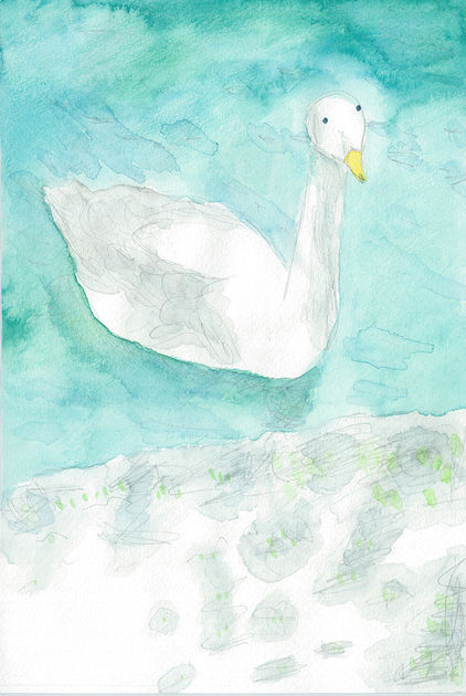 白鳥
