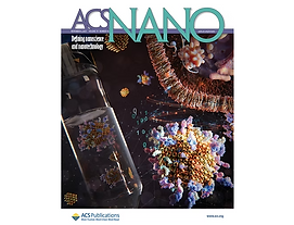 Screenshot 2025-11-09 210652.png