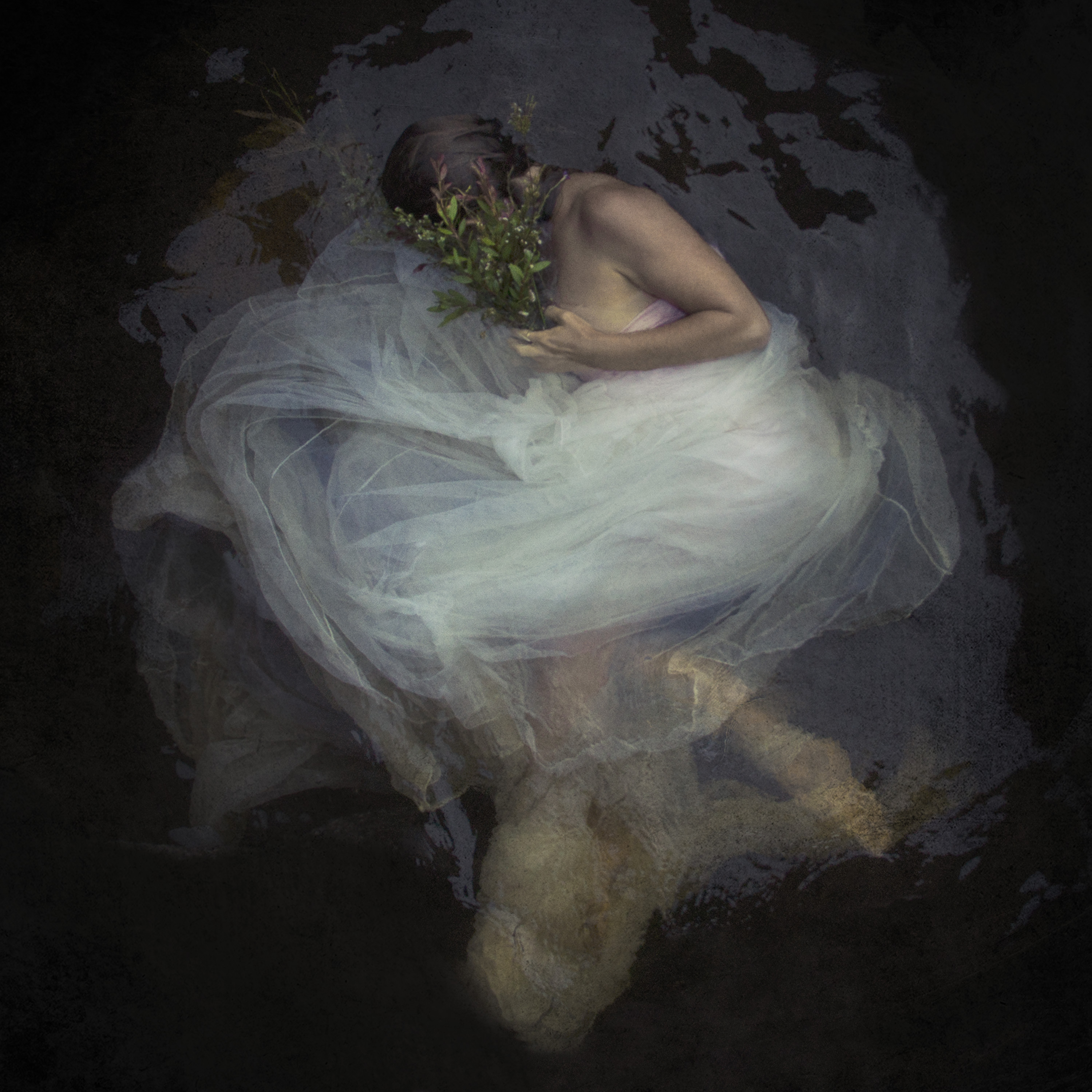 Fine Art Photography
