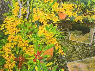 Yellow Blossoms 53 x 64cm Acrylic Mixed Media on stretched linen with oak frame Framed $12