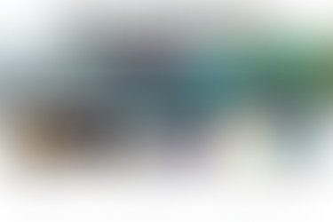 The Flux Review - Kellie North Q&A