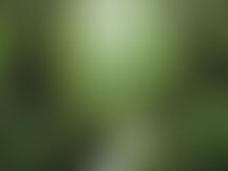 Could Developing Every Wild Space Actually Harm the Planet?