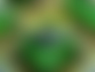 Micro-Photosynthetic Power Cells: Harnessing Algae's Energy Potential