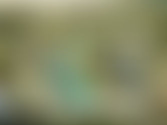 Exploring Innovative Environmentally Sustainable Ideas