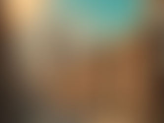 The Scorching Future: Heat Waves and Weather Disasters in a Changing Climate