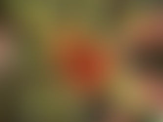 Archaea: The Unsung Heroes of a Sustainable Future