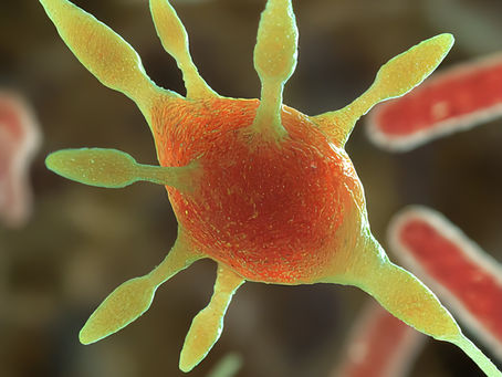 Archaea: The Unsung Heroes of a Sustainable Future