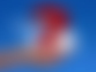 Comment savoir ce que le client désire ?