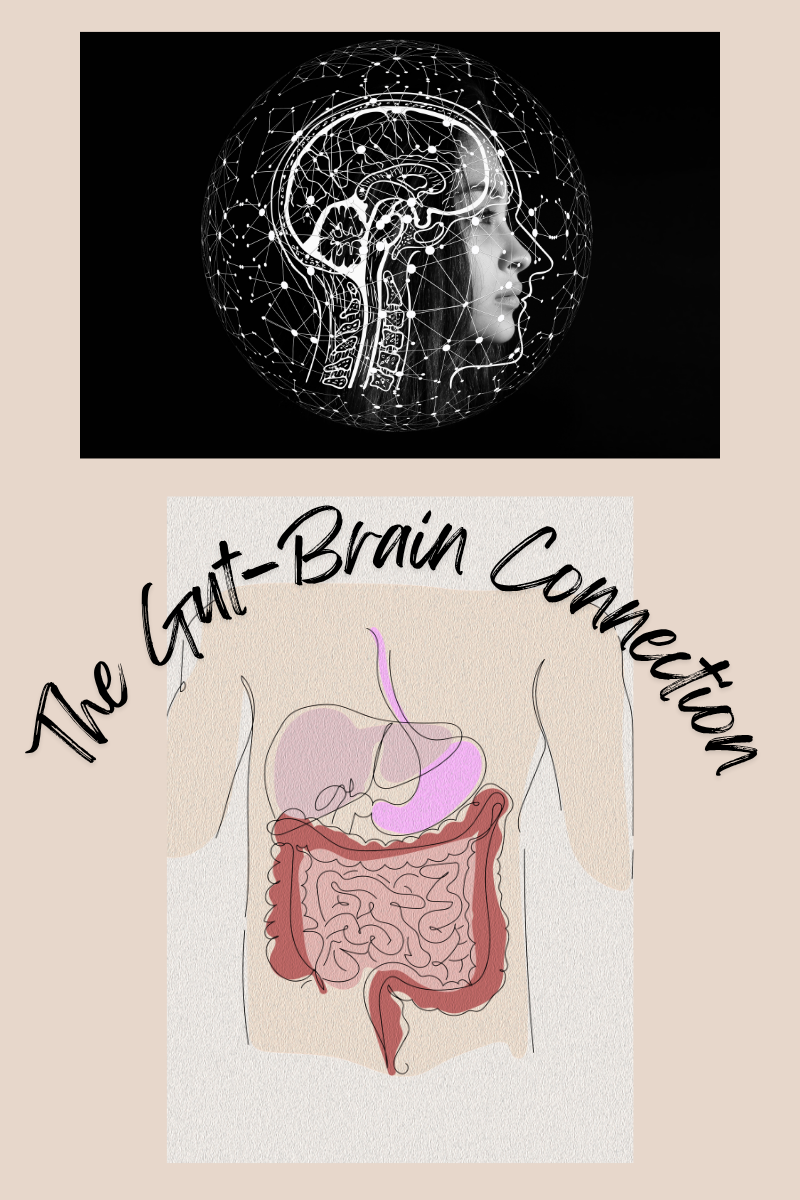 The Gut–Brain Connection - Group Talk - week Commencing 11th May 2026.