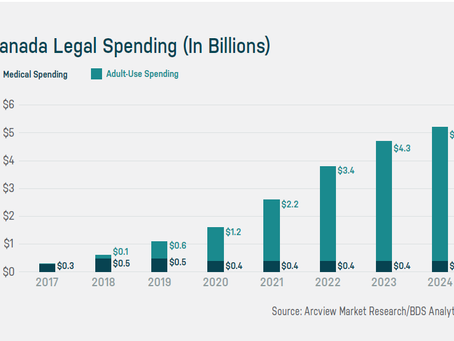The North American Market Overview