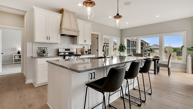 Remodeling Ideas Roger MN, Kitchen Remodel Ideas Roger MN, Home Renovation Ideas Roger MN, Home Remodel Consultant Roger MN, Home Staging Roger MN, custom modern homes Roger MN, house models near me Roger MN