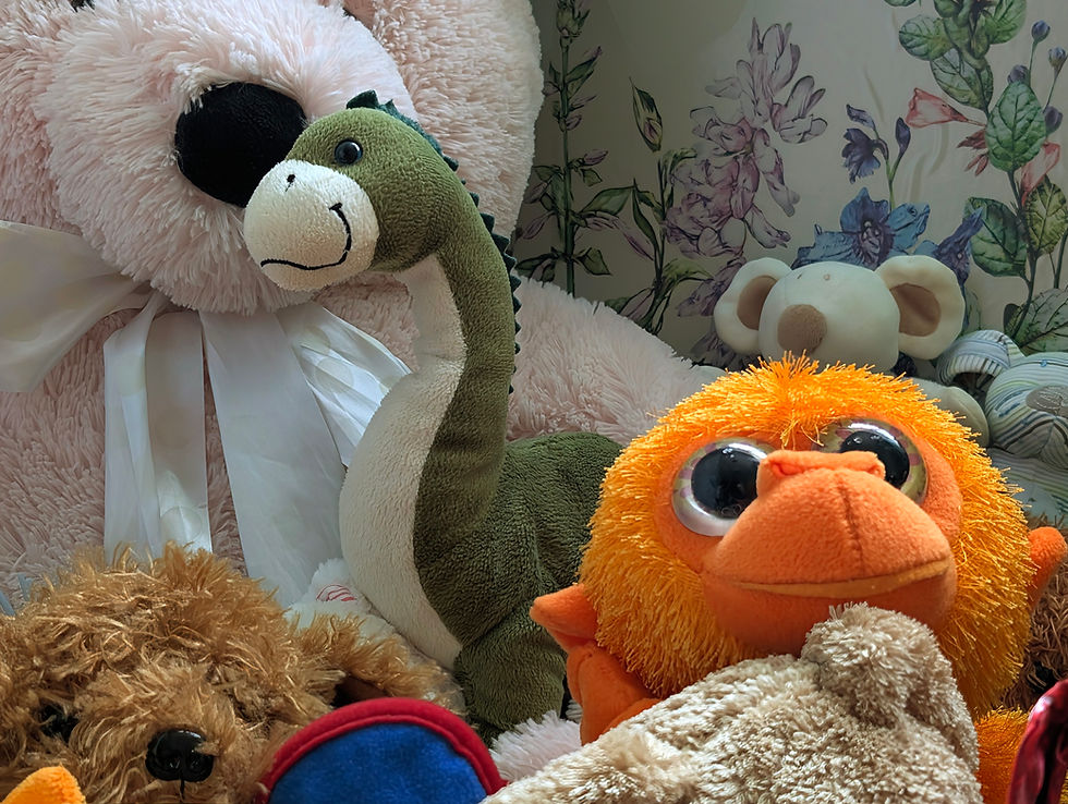 PXL_20250712_155655535.MP~2