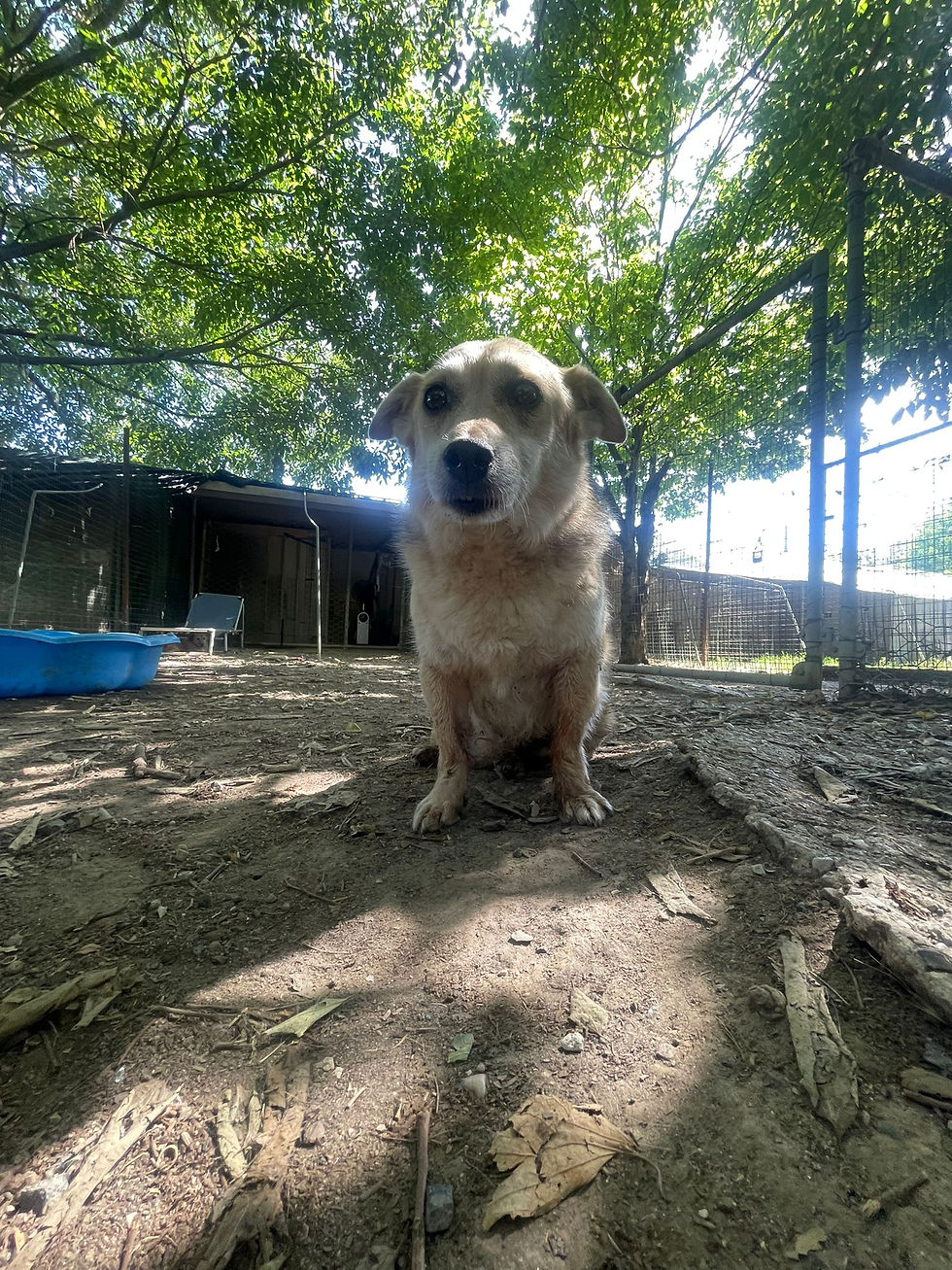 Minù