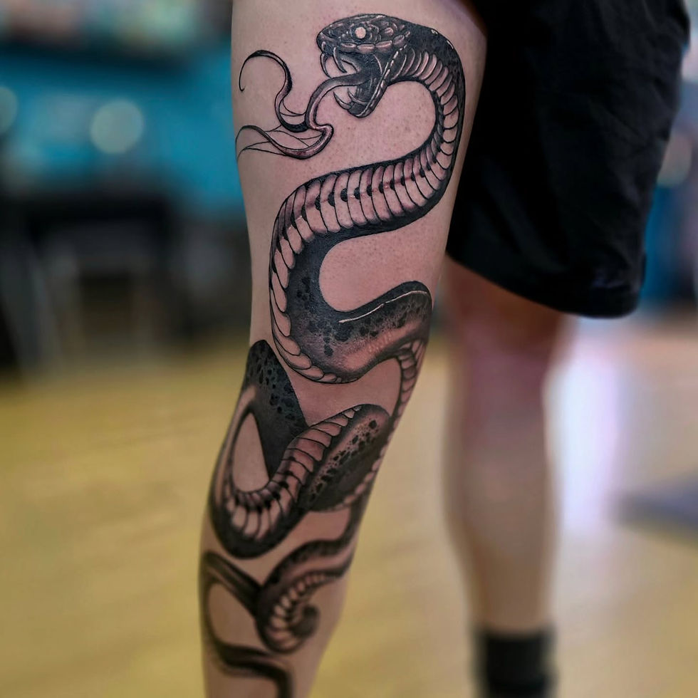 535584206_2606555826376067_7681150458343320124_n