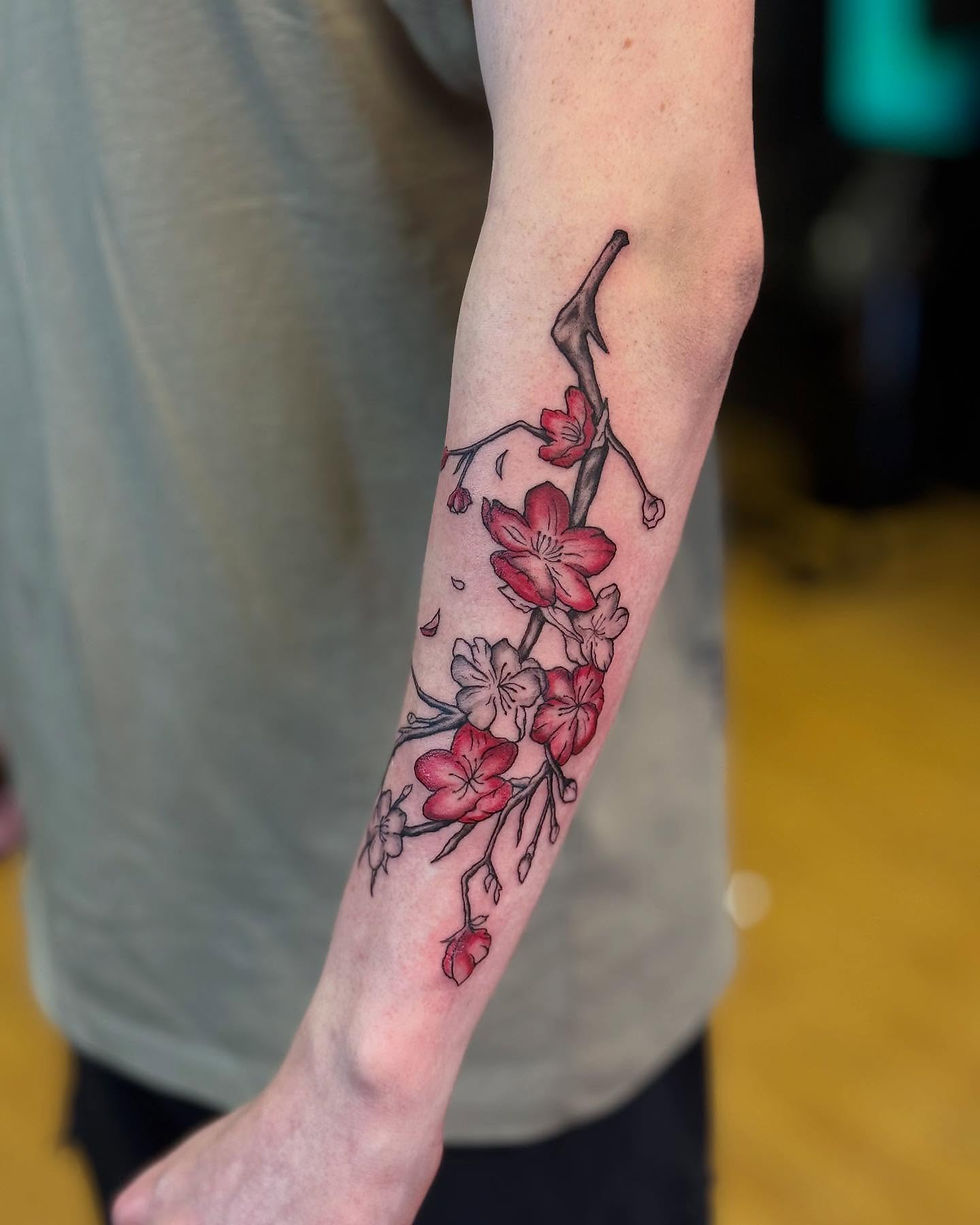 497662913_17946824270988290_1327125408464059321_n