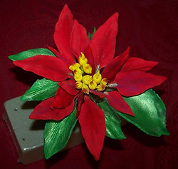 100_9925.JPG