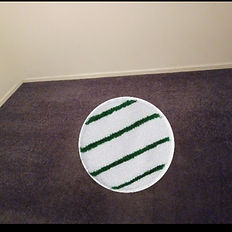 Carpet Cleaning with a pad