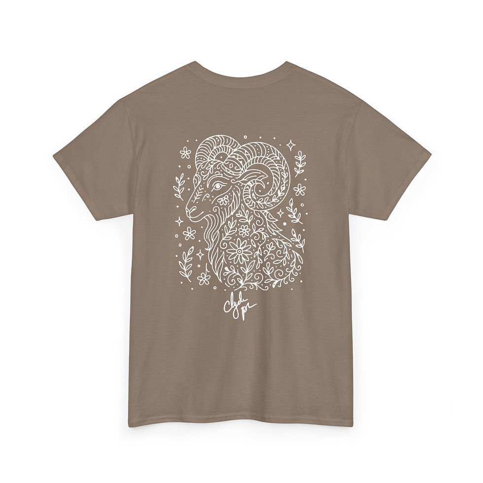 Thumbnail: CLYDP Aries Retrograde Tee (MULTI COLOR)