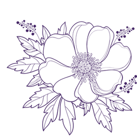 Flower 4 - Dream Catcher Weddings Packages