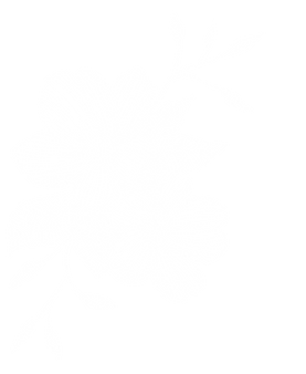37.png