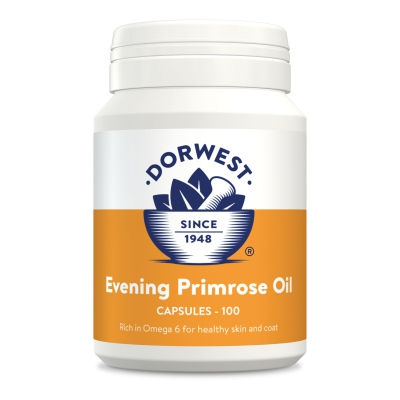 White Dorwest bottle with Evening Primrose Oil capsules, 100 count.