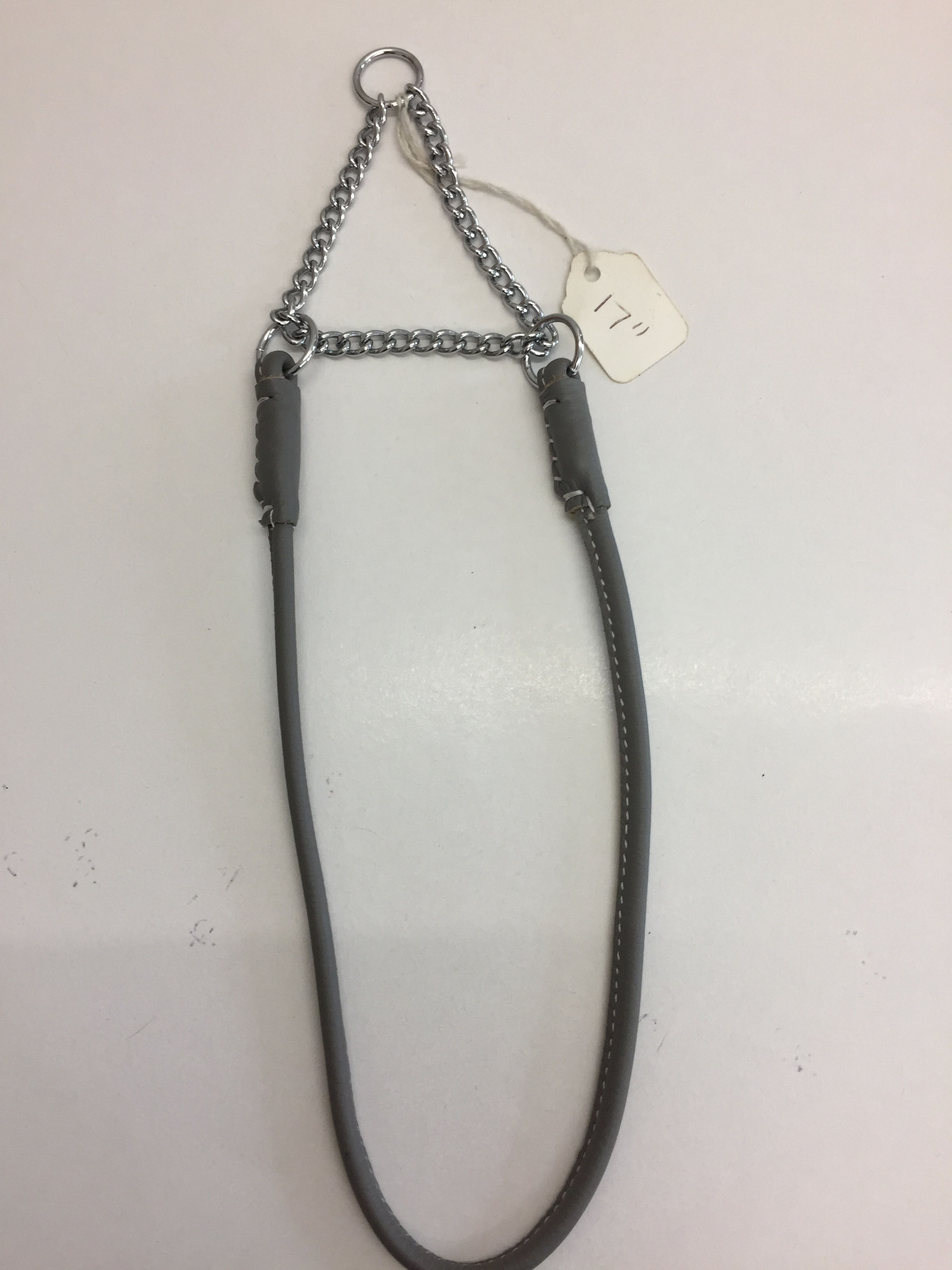 Grey dog show halter with chain and 17" tag, Top Dog Show Supplies.