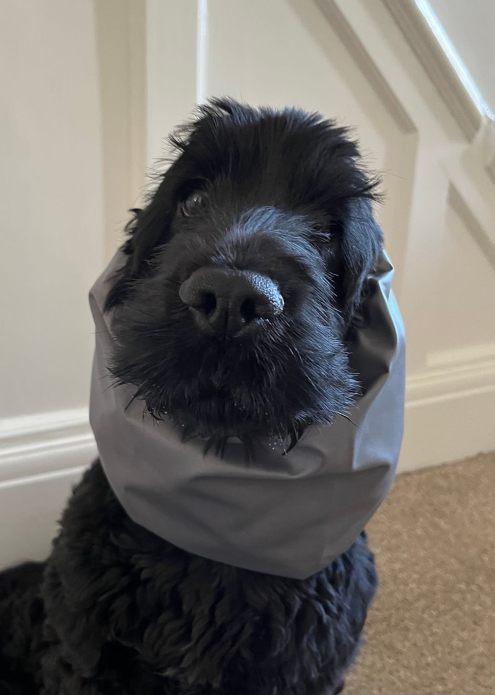 Thumbnail: Waterproof Snoods