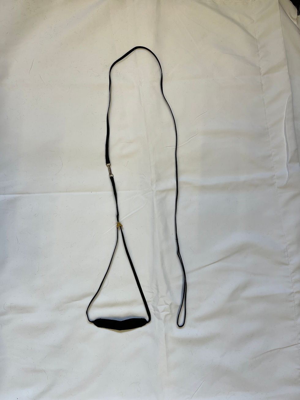 Thumbnail: Black leash on a white surface, with a black handle