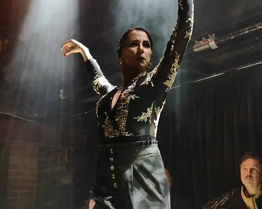 Hire Flamenco Dancers for Parties.jpeg